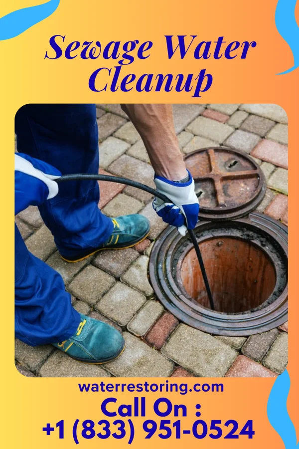 Sewage Water Cleanup in Maiden, NC
